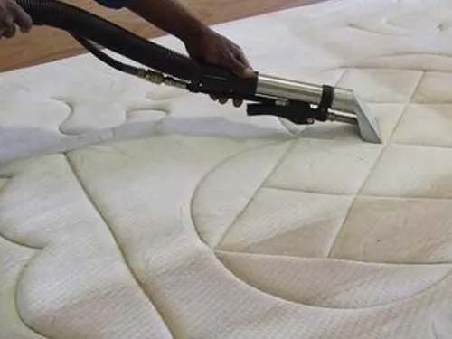 Extraction machine deep cleaning and sanitising a white mattress